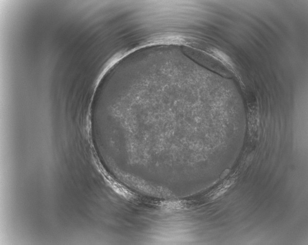 X0000053010944200508051157