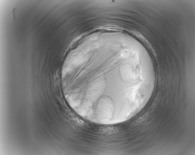 X0000053010945200508051157