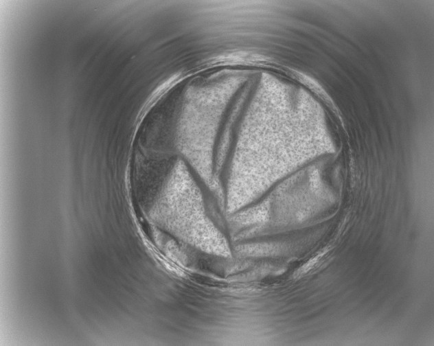 X0000053010946200508051157