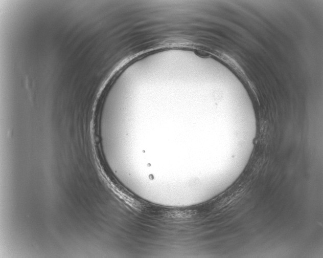 X0000053010947200508051157