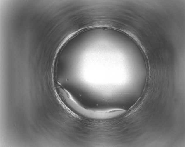 X0000053010949200508051157