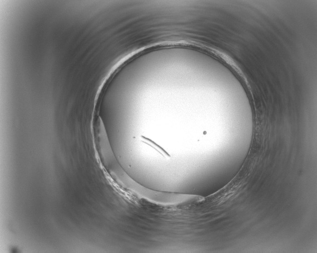 X0000053010951200508051157