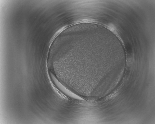 X0000053010954200508051157