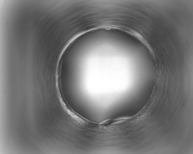 X0000053010955200508051157