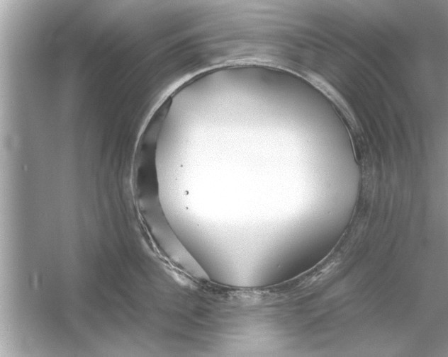 X0000053010956200508051157