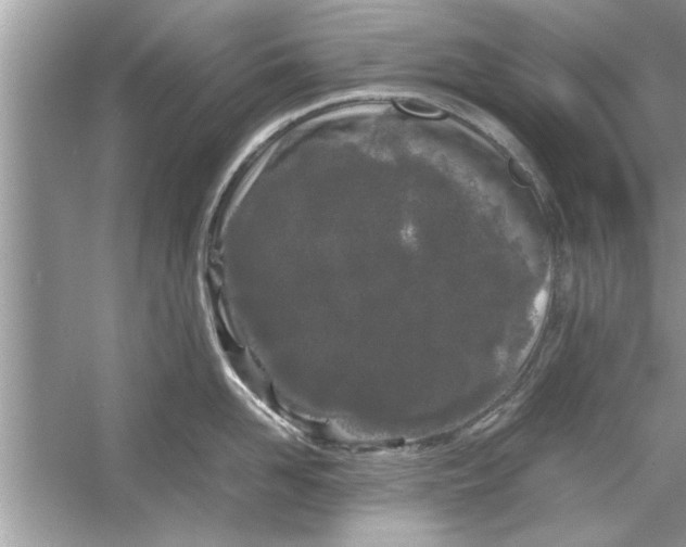 X0000053010958200508051157