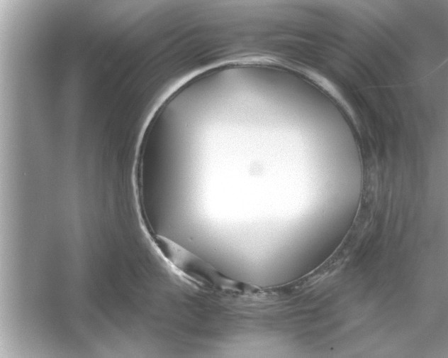 X0000053010959200508051157