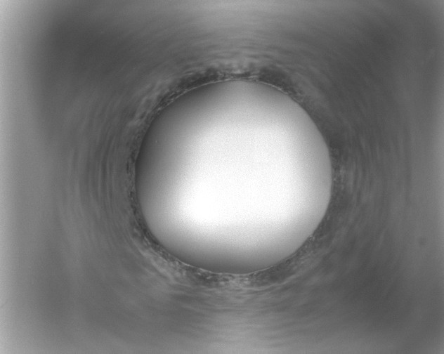 X0000053010961200508051156