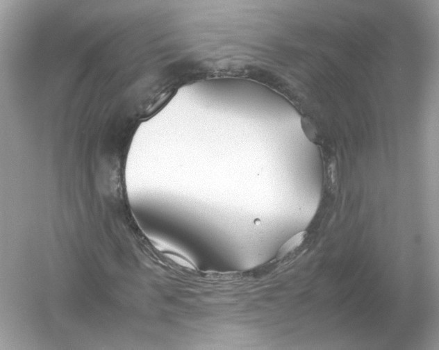 X0000053010963200508051156