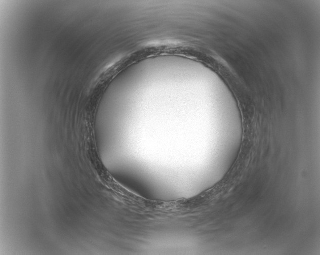 X0000053010967200508051156