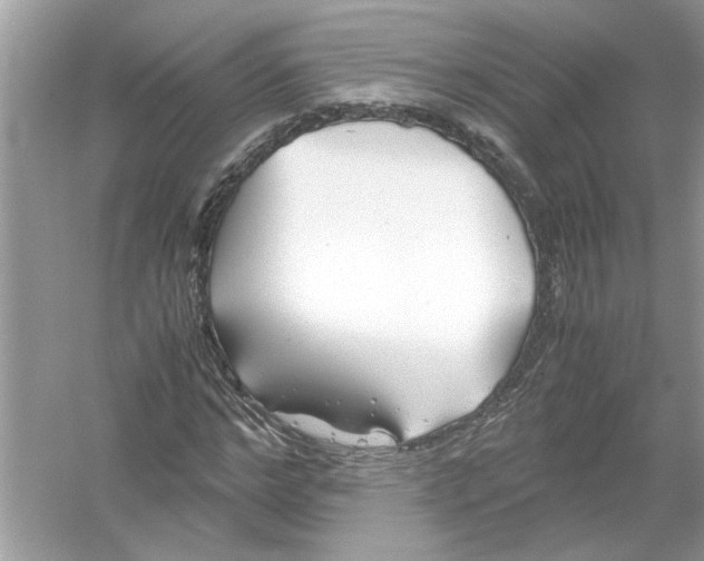 X0000053010968200508051156