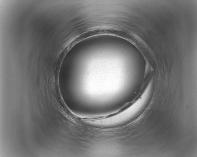 X0000053010969200508051156