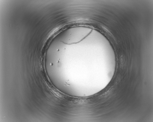 X0000053010970200508051156