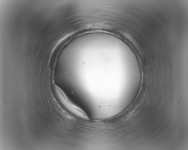 X0000053010971200508051156