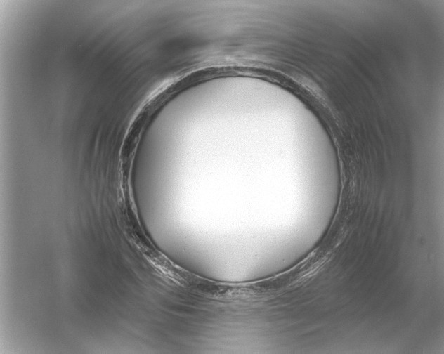 X0000053010974200508051156