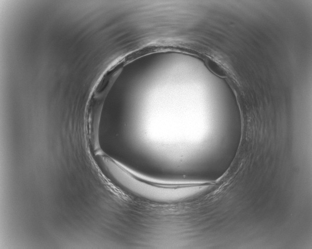 X0000053010976200508051156