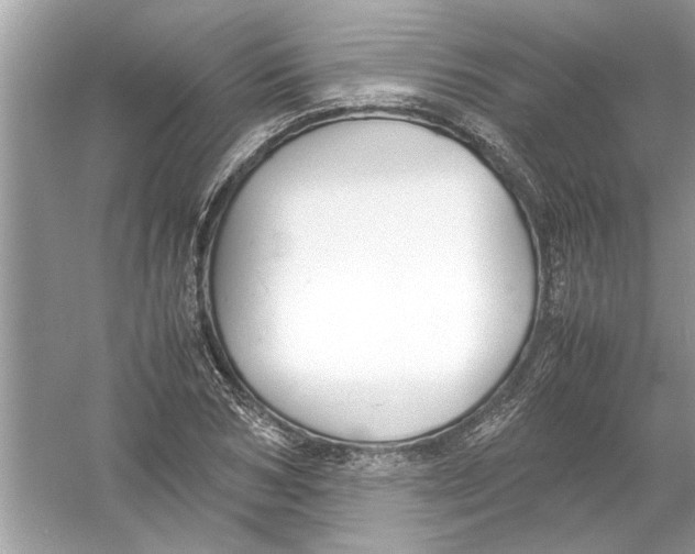 X0000053010978200508051156