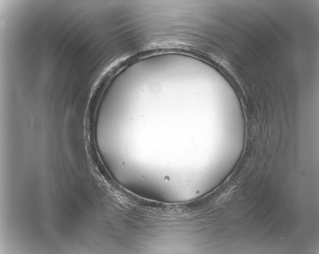 X0000053010979200508051156