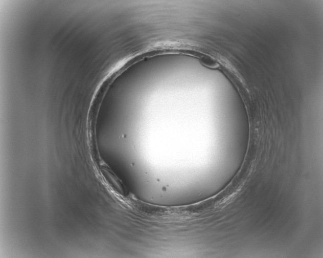 X0000053010981200508051156