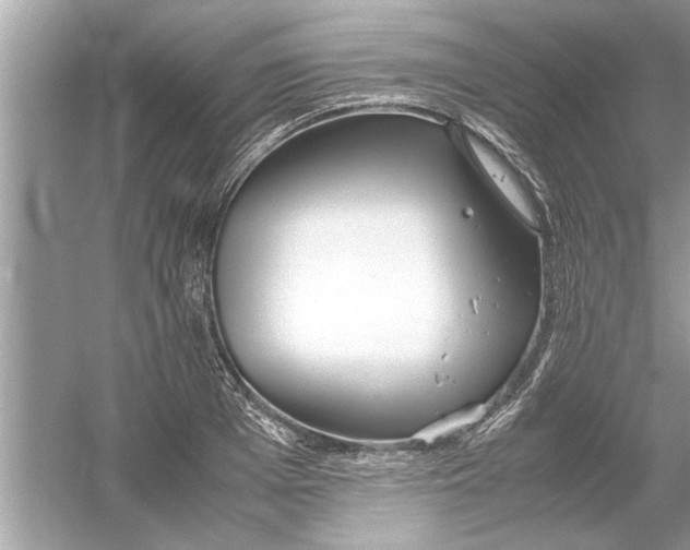 X0000053010985200508051156