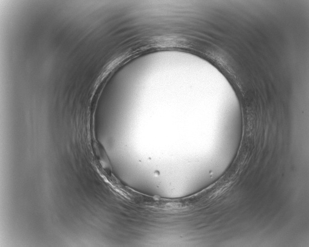 X0000053010986200508051156