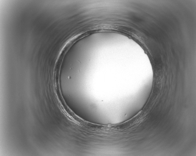 X0000053010987200508051156