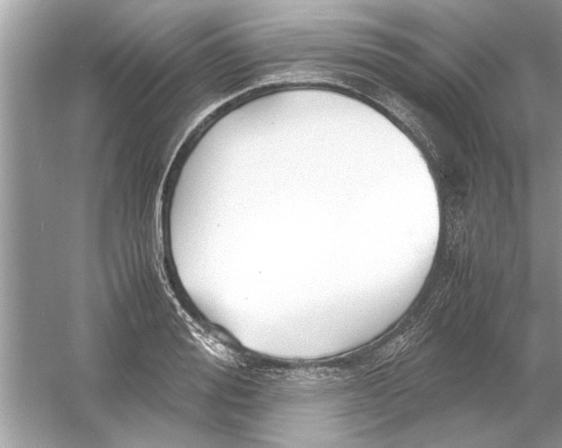 X0000053010988200508051156