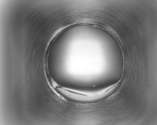 X0000053010989200508051156