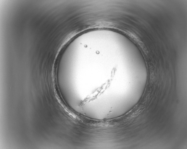 X0000053010990200508051156