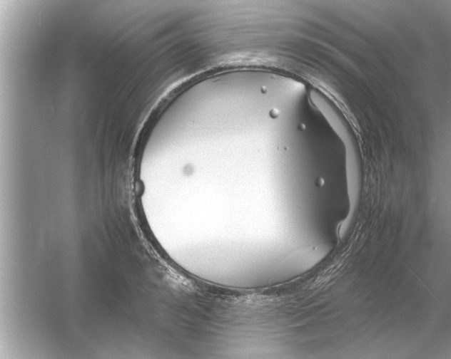 X0000053010992200508051156