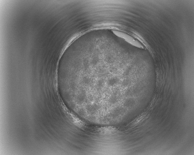 X0000053010994200508051155