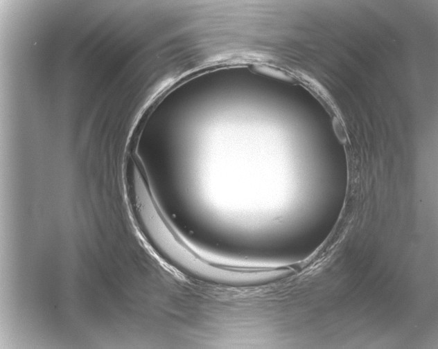 X0000053010997200508051155