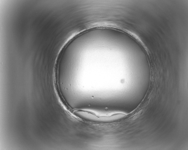 X0000053010999200508051155