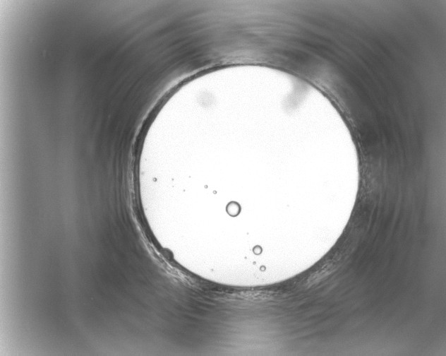 X0000053011000200508051155