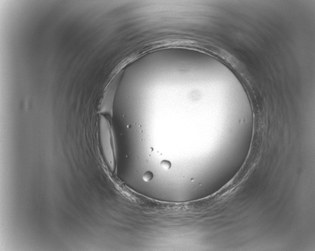 X0000053011001200508051155