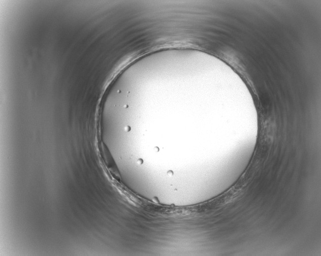 X0000053011002200508051155