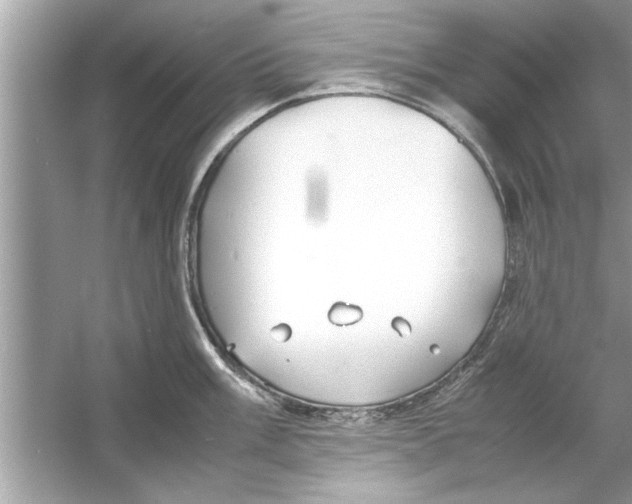 X0000053011003200508051155