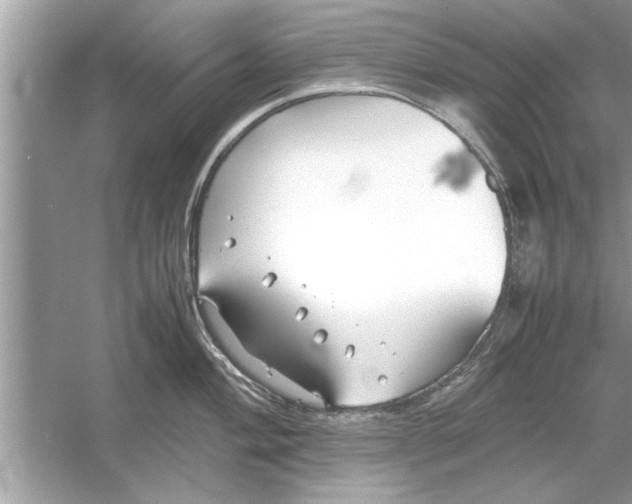 X0000053011004200508051155