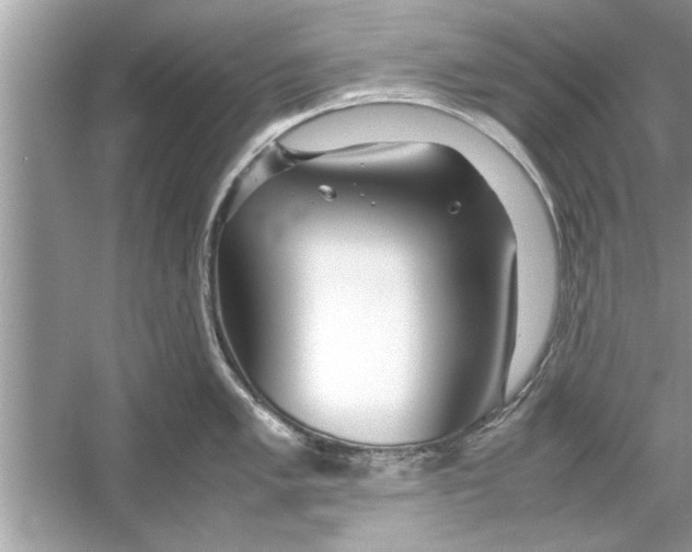 X0000053011005200508051155