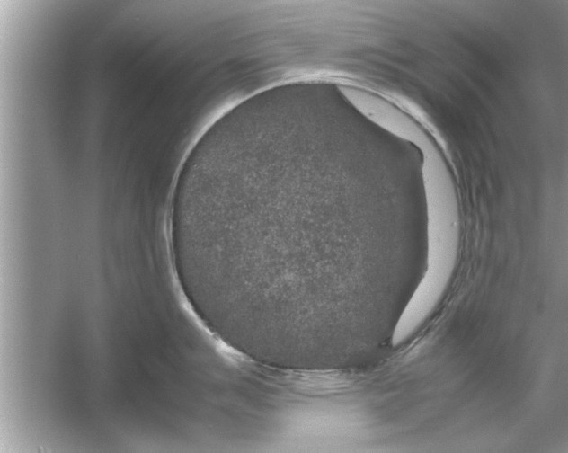 X0000053011007200508051155