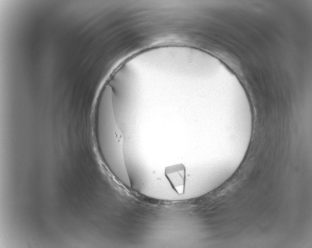 X0000053011008200508051155