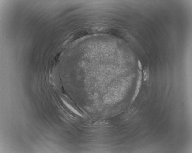 X0000053011011200508051154