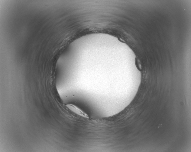 X0000053011012200508051154