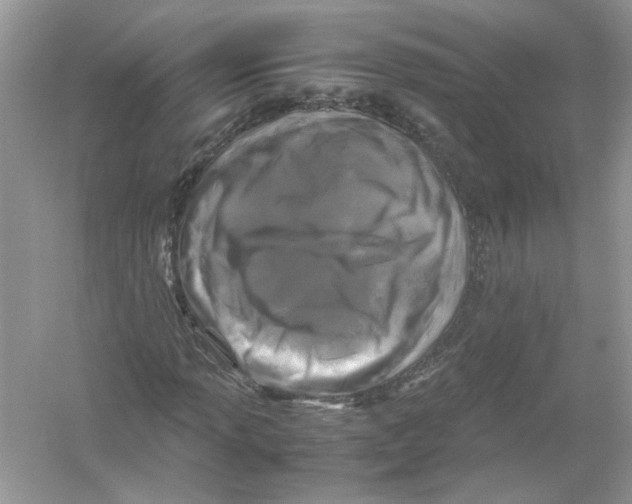 X0000053011013200508051154