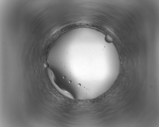 X0000053011015200508051155