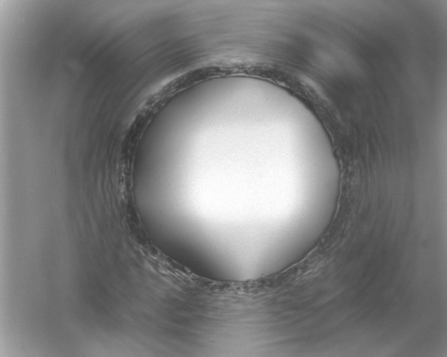 X0000053011016200508051155