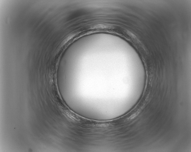 X0000053011017200508051155