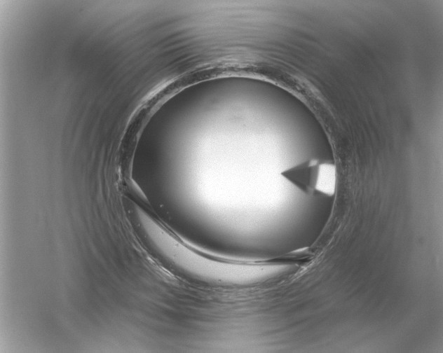 X0000053011018200508051155