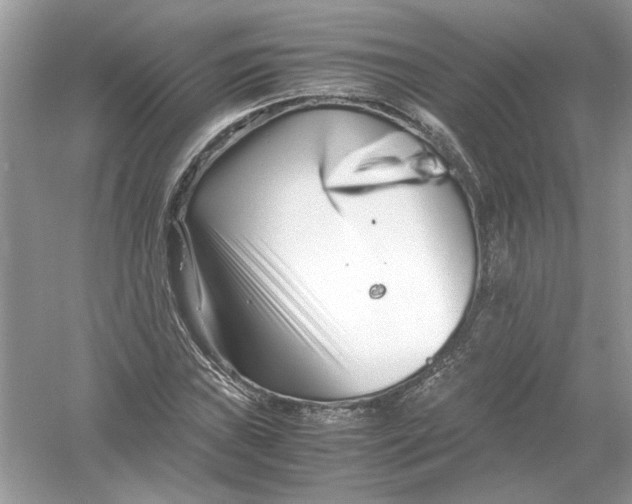 X0000053011019200508051155