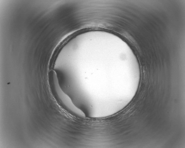 X0000053011020200508051155